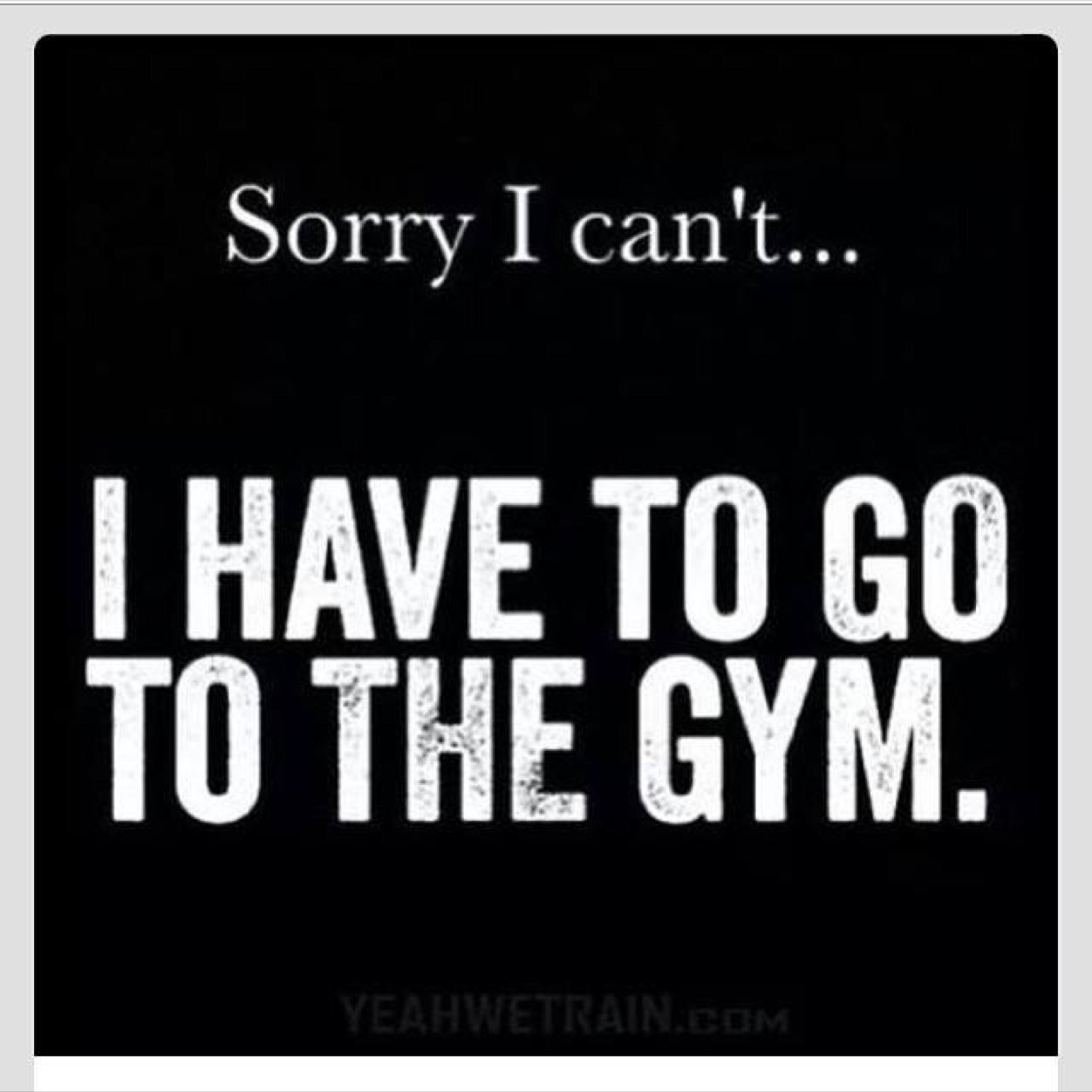 honestgains's profile picture. Promoting all honest gains