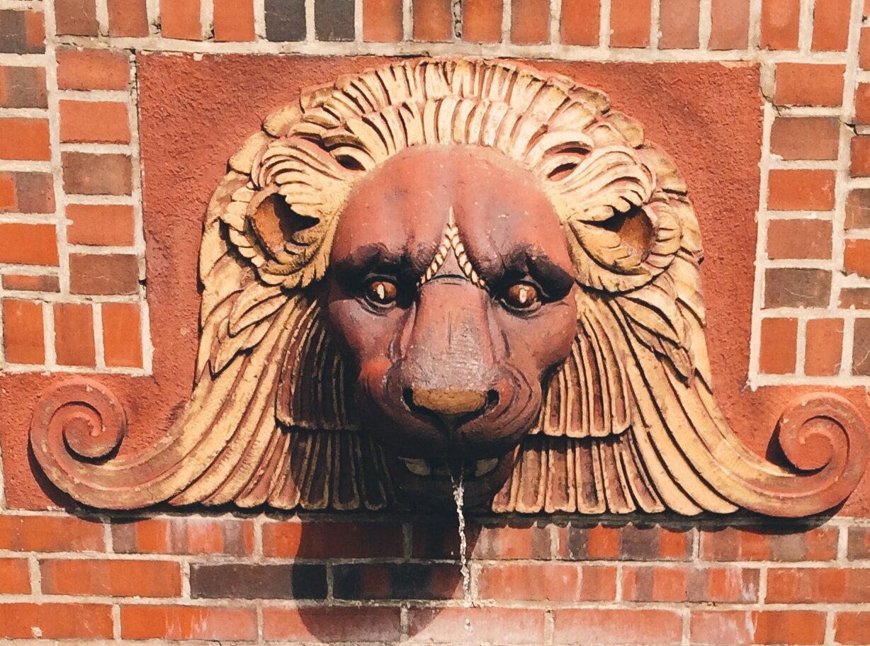 BonasPsych's profile picture. Psychology Department of St. Bonaventure University