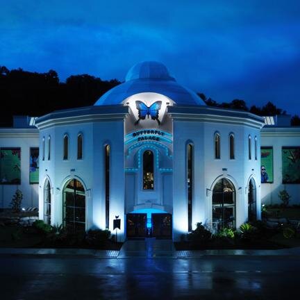 The Butterfly Palace & Rainforest Adventure is open daily 9am-5pm!
