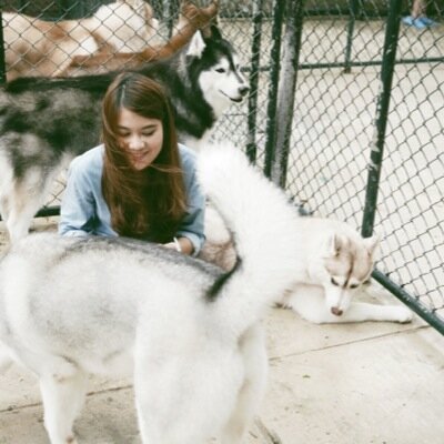 ManassilPank's profile picture. 