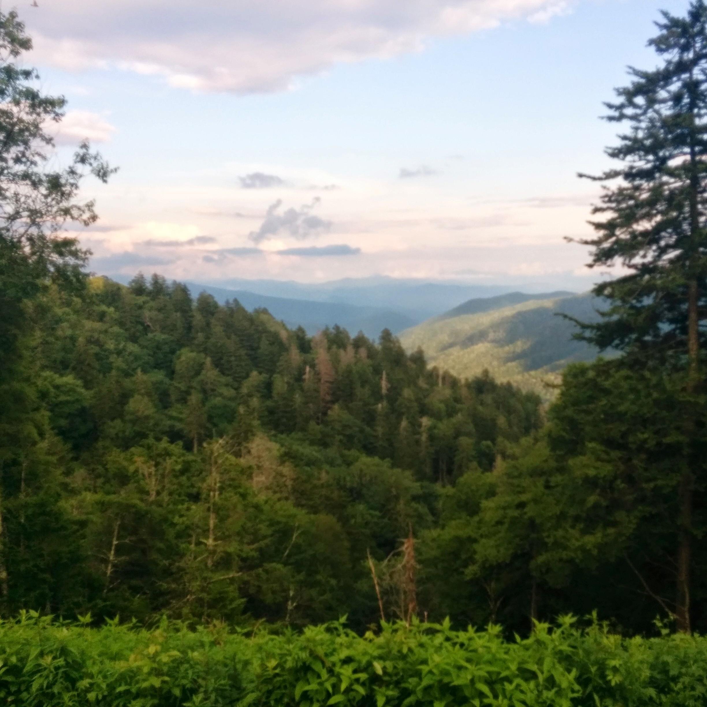 STan_Trade's profile picture. 