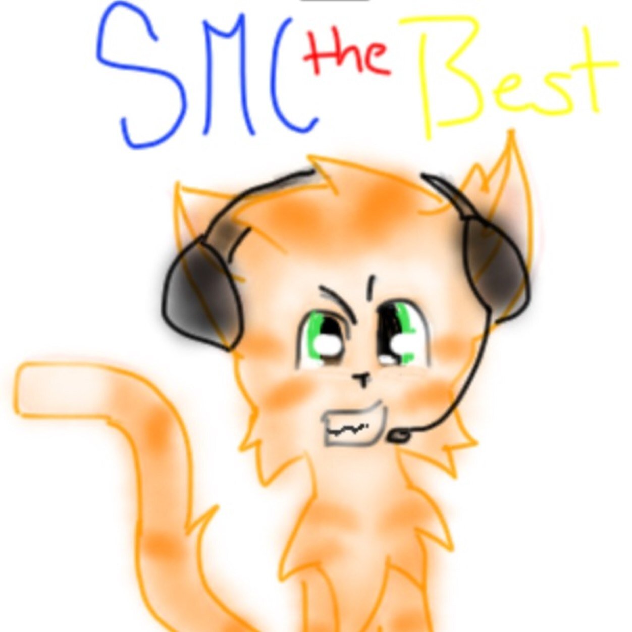 Hey guys SMCtheBest.I am a awesome gamer.Send me a friend requst on xbox 360 its SMCtheBest and be in a video with me soon.See you guys later,Buy :)