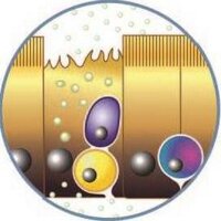 Society for Mucosal Immunology(@socmucimm) 's Twitter Profile Photo