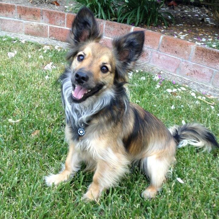 cggeek79's profile picture. 