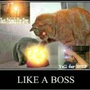 Valentin Schmid - @ValleEtP - Twitter