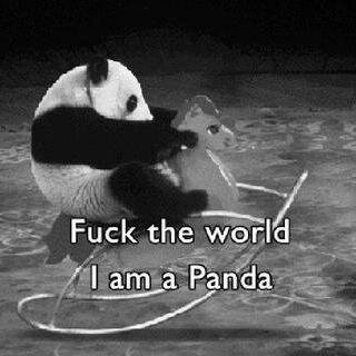 Lounamoon1D's profile picture. French Directioner and proud ! I'm Niall's girl :D  :p Et j'aime manger :3 I'm a F*cking pandicorn Bitch :p