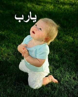 ftooommm_3 Profile Picture