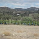 Gary Carol - @GaryCarol1 - Twitter