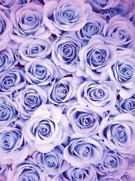 Hi guys tweet me your videos and I will retweet them!!! subscribe to my channel also!! https://t.co/Ygud47Nis5