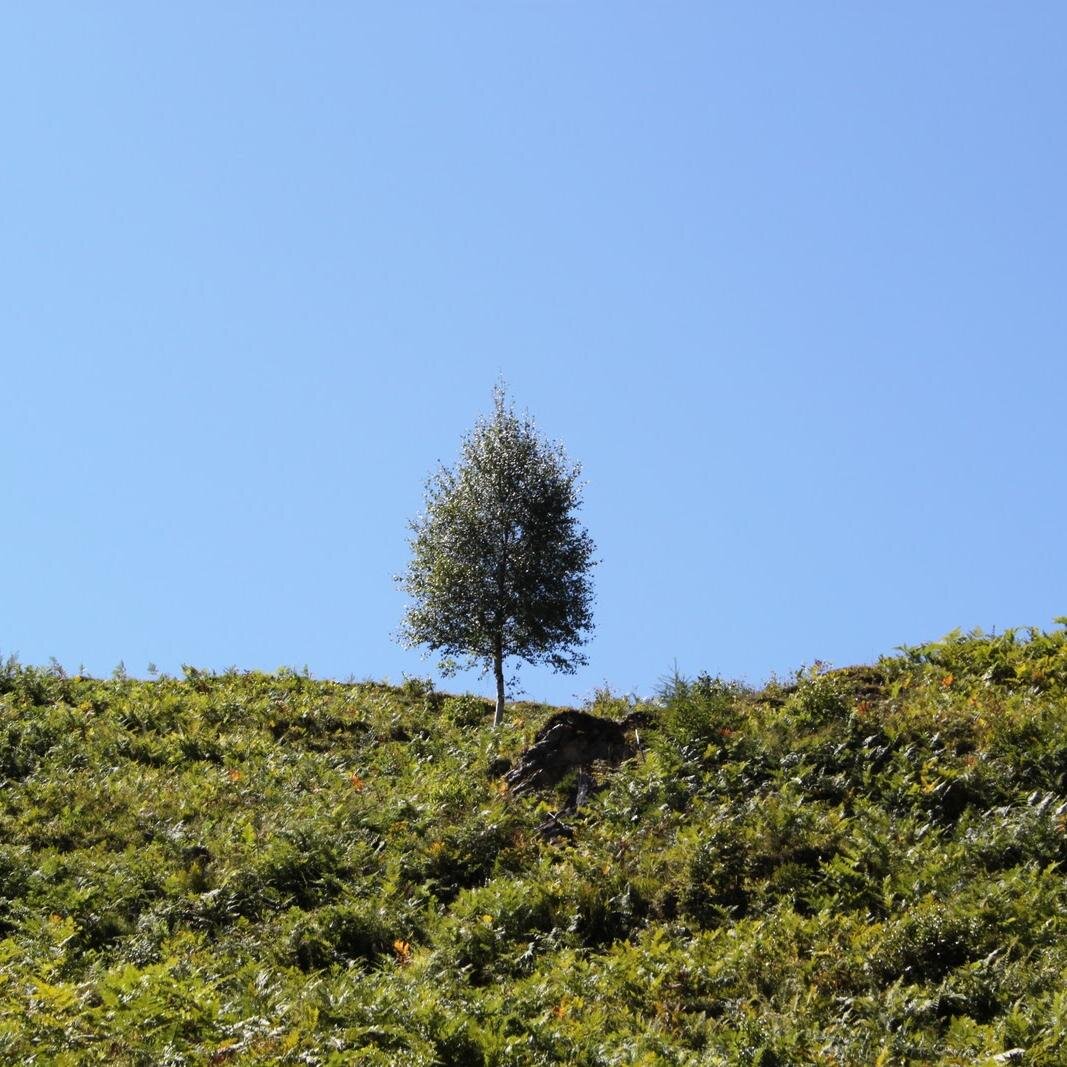 Sam_en_Aarde's profile picture. Lerarenopleiding Aardrijkskunde, cabaretier in wording, en ja, dat gaat best samen. Ik bewijs het je.