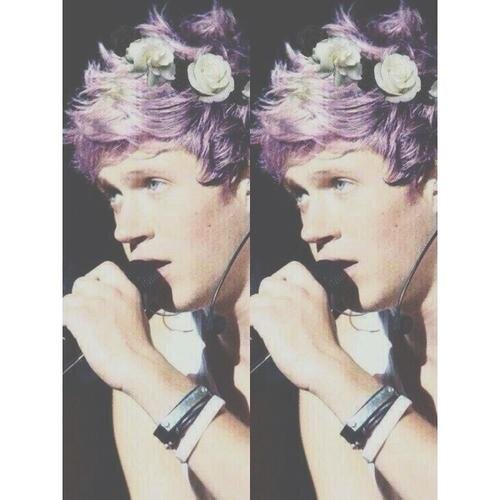 | Directioner |