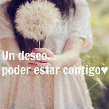 Dime que no puedo hacerlo y tendré un motivo más para lograrlo. ╚ ♀ ♥