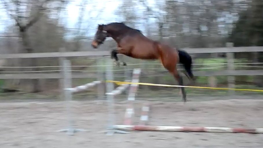 WilfriedBoerhof's profile picture. 