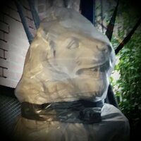 Tin Fingers (@tinfingers) 's Twitter Profile