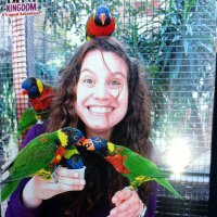 Jess Behar (@jessbehar) 's Twitter Profile