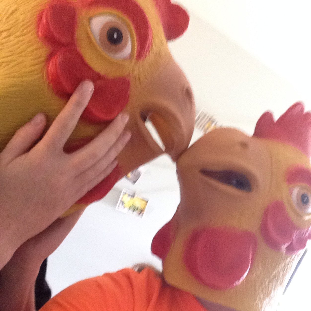 chickencult420's profile picture. CHECK OUT OUR YOUTUBE CHANEL