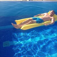 David P (@davep985) 's Twitter Profile