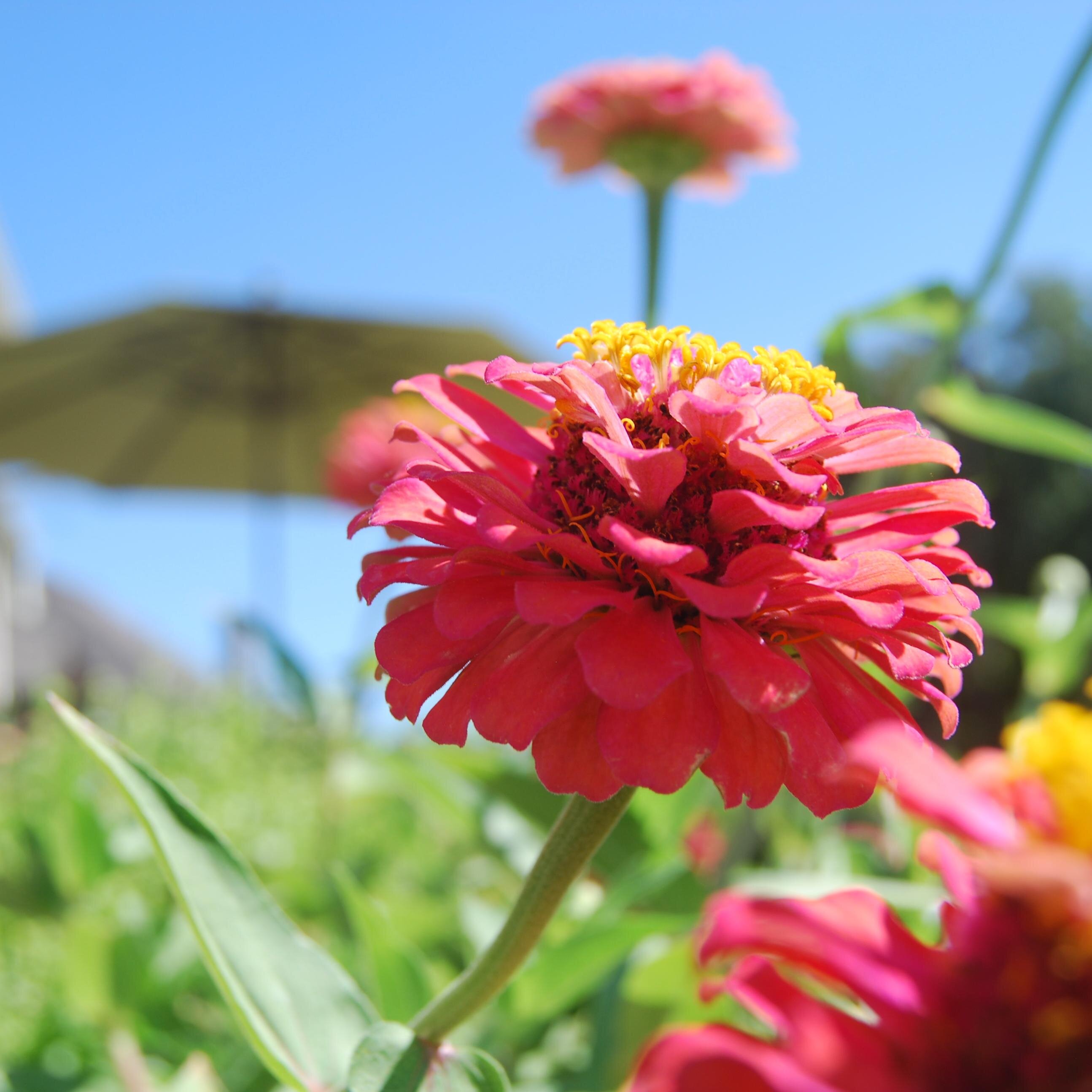 Lucy_mojo's profile picture. 