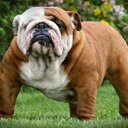 sharon nell - @sharonn282_nell - Twitter