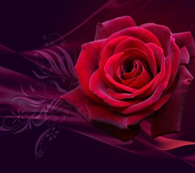 ‏‏‏وراء كل قلم أنيق أنثى رائعة مثلي من أجلها كتب القلم وصفت الأحرف وتبعثرت معاني الكلمات وتميزت الأحرف بالمشاعر والأحاسيس,!!