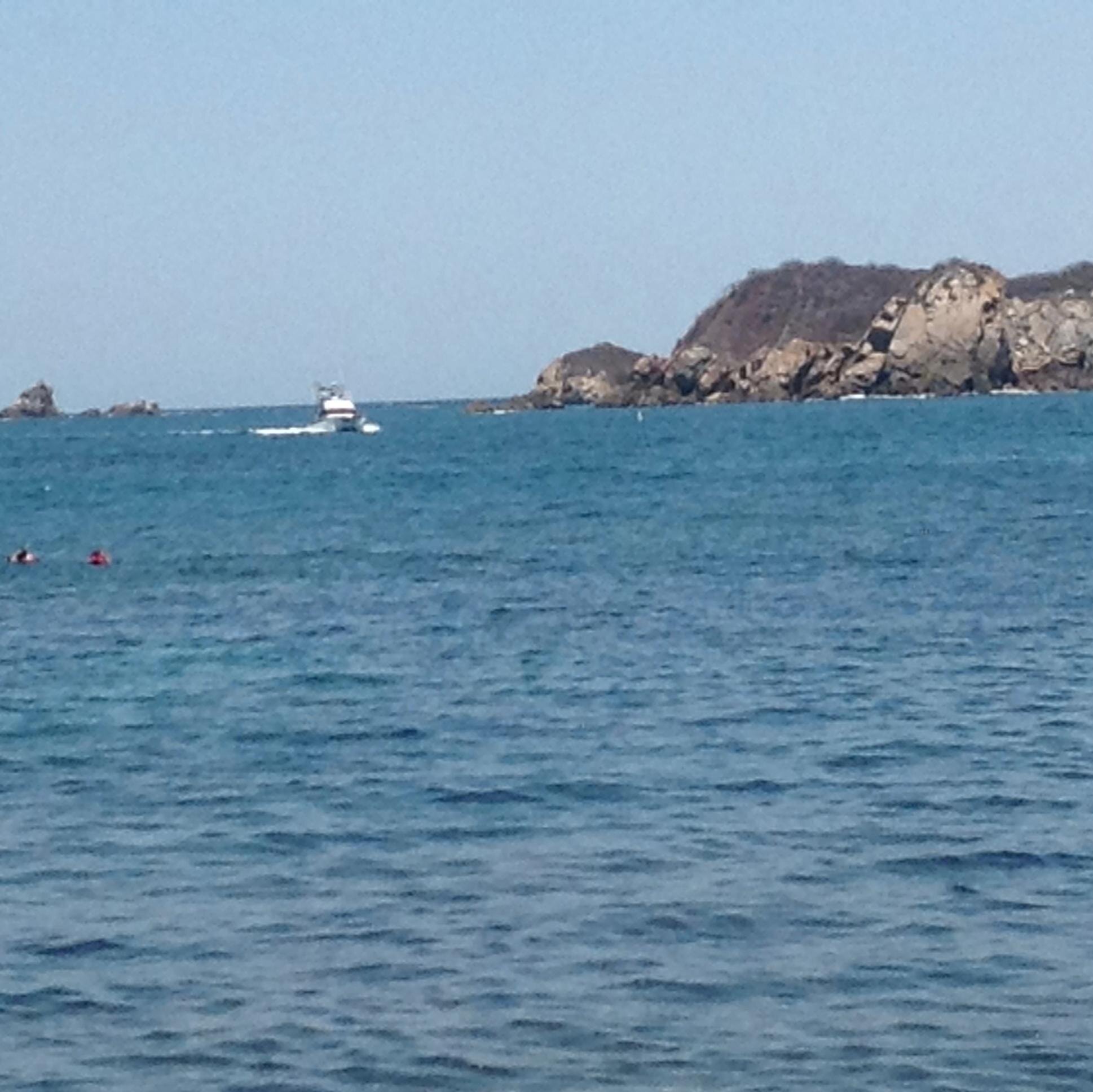 carsaCarmen's profile picture. 