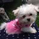 linda carty - @skinnyone0 - Twitter