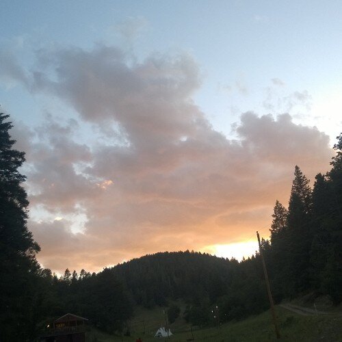 CDow7's profile picture. 