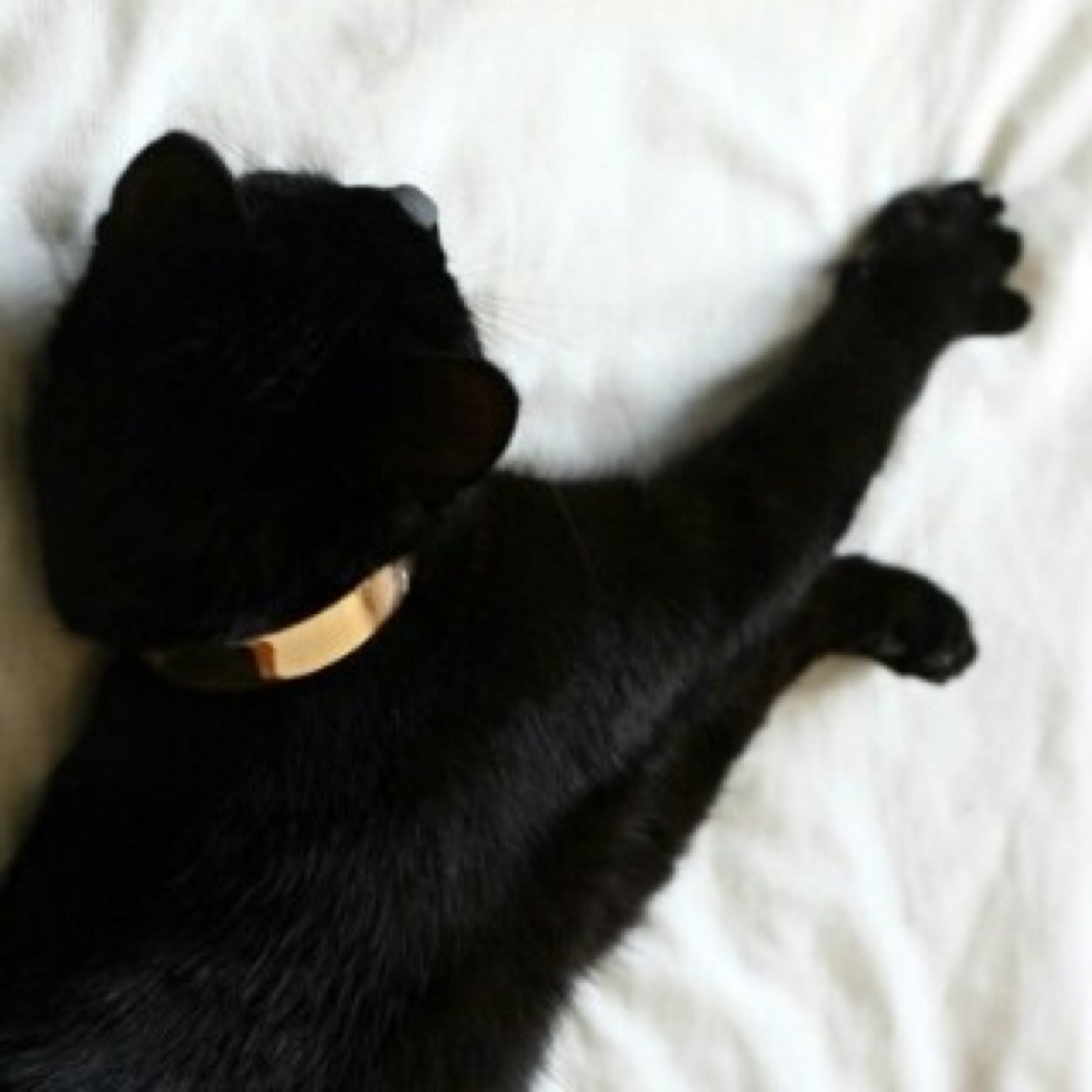 Rana592's profile picture. 