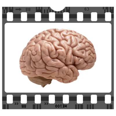 Looking for great ideas - Professional Video Editor and Mographer