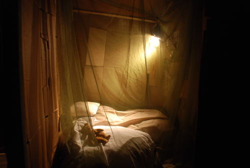 freetheslave's profile picture. 