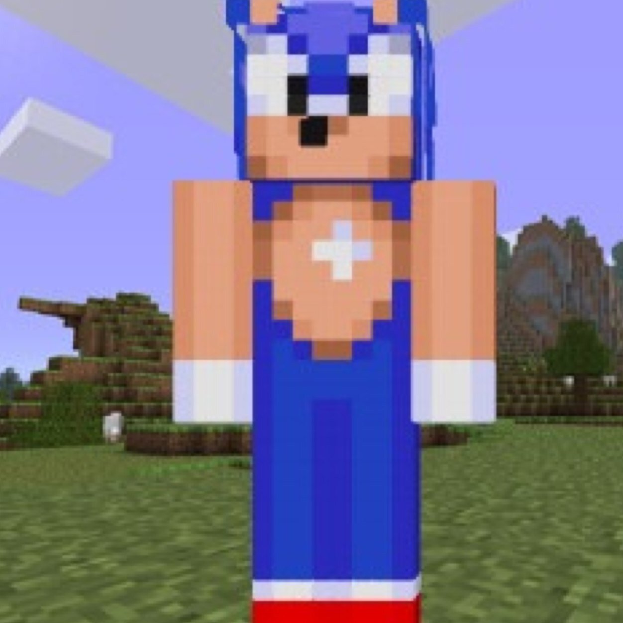 Sonic teamvs.Minecraft team! Good at cheating/win in games.I play wii,ipad,psvita,DS,and computer games any games only those.no one can beat me in games!!!