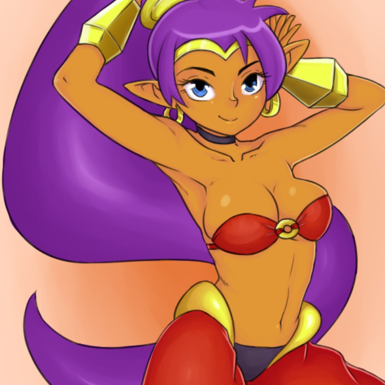 Hi there, I'm Shantae, the 1/2 genie 1/2 woman. One day, ill be full genie. Ive defeated Risky boots a lot. Best belly dancer around~#Taken-@Faith_The_Absol RP