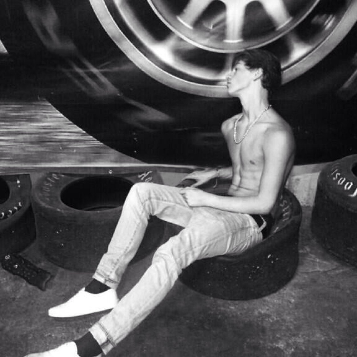 Taylor caniff