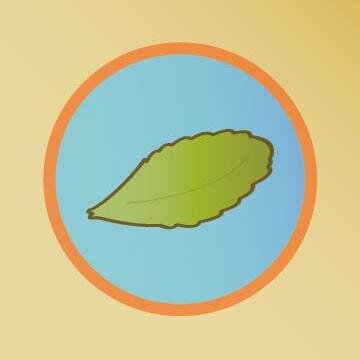 SteviaAmambay's profile picture. Somos una PyME dedicada al cultivo ecológico de la Stevia Rebaudiana Bertoni, planta apreciada por sus muchos beneficios, todavía no sabes cuales son? seguínos!