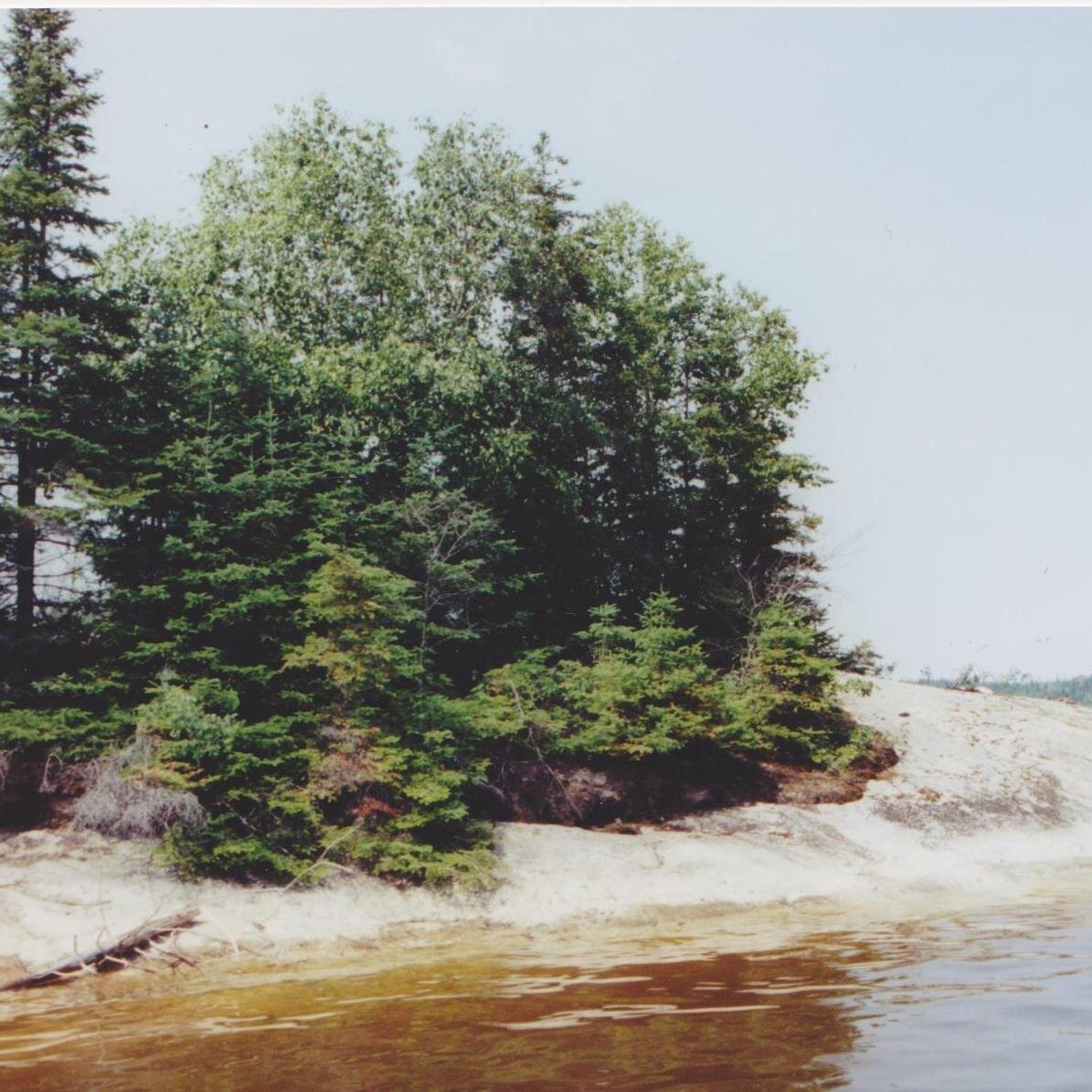 EllieKaple's profile picture. 