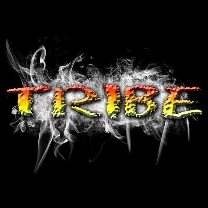 The TRIBE is a youth group who strives to help students grow in their own walk with God and encourages them to walk it out on a daily basis.