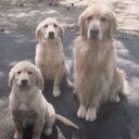 Mark Grey - @greym_mark - Twitter