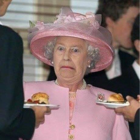 llamapigmagee's profile picture. Nothing