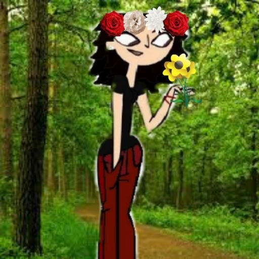expert in nature, I like the forest of any kind of color 
(copy of Snow White)