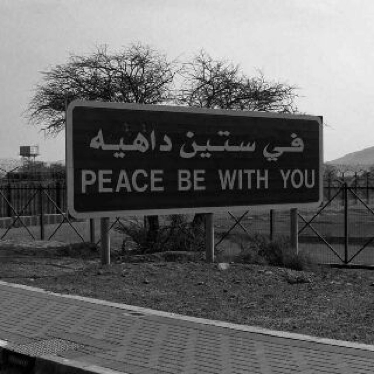 لاعب فيفا مخضرم :$ .. مطفر كوينزياً . محترف لعبياً