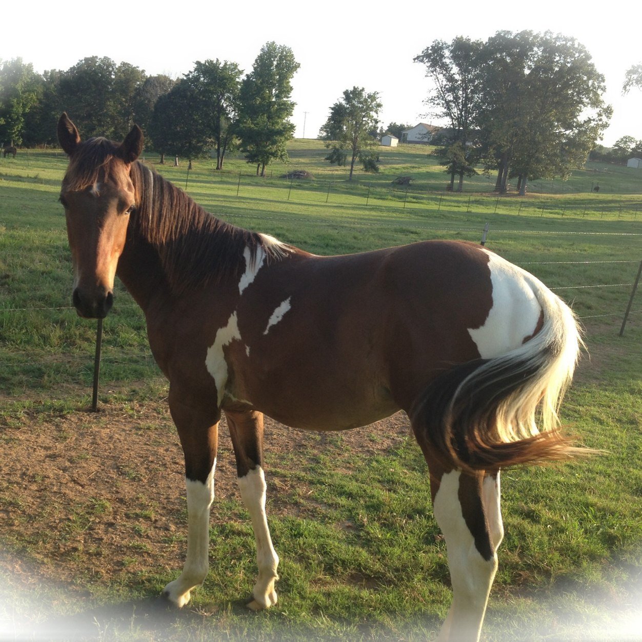 JamieKKJenkins's profile picture. 