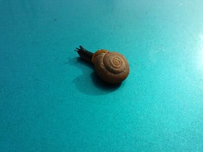 54madhatter's profile picture. MD native- REDSKINS, Orioles, Wizards & Capitals.  Chesapeake Bay Blue Crabs! 

Foothills of SC