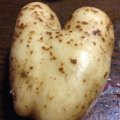 詩人 a poet and others＊聖五月＊＊＊愛が喪われて/空は いよいよ蒼くいよいよ遠く//朝露に濡れるばらの花芯から血が溢れる/湧き立つ光の渦から若葉が生まれる//ながれる血は朝日のように街や塔や湖のほとりの永遠の恋人を巡っている