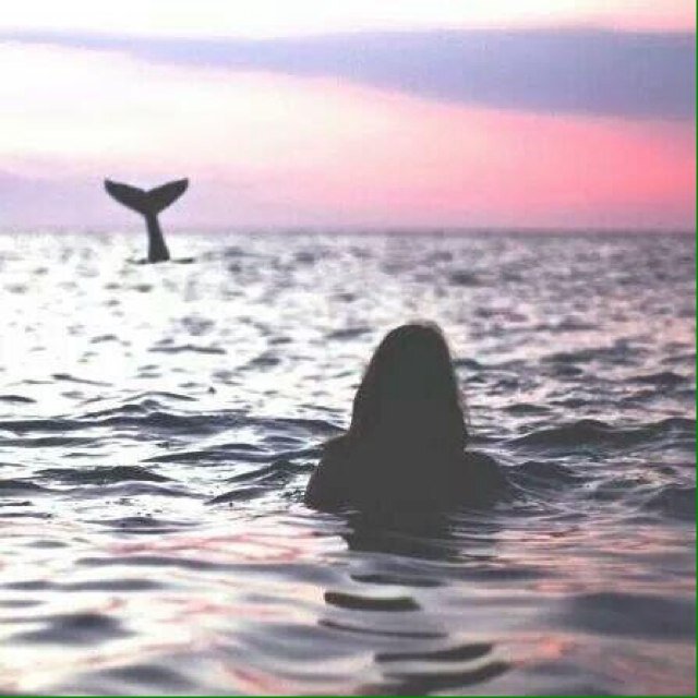 A Translator 📚 Design Specialist ..   Be a voice not an echo  #animal_lover