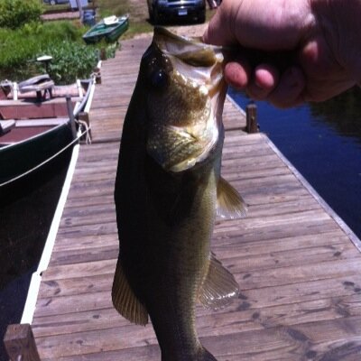 RobertS10v6's profile picture. 