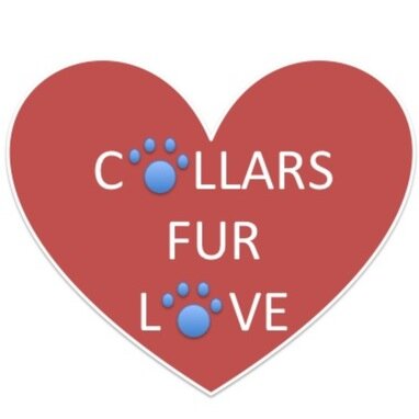 Raising money to keep shelter animals healthy, one collar at a time.