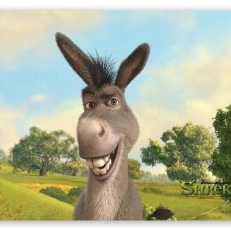 I have 3 donkey dragons for kids