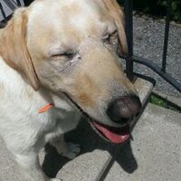 JA (@demersjessica) 's Twitter Profile