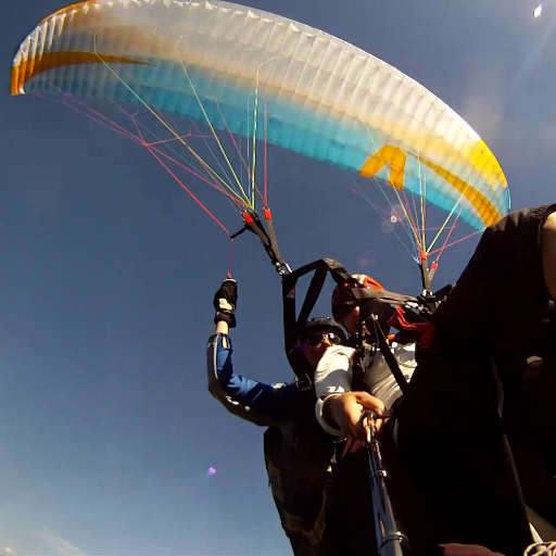 JetSetPG's profile picture. I like to run off mountains.