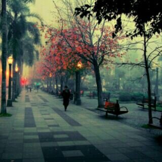 ro_zxcv67050's profile picture. سبحان الله وبحمده سبحان الله العظيم